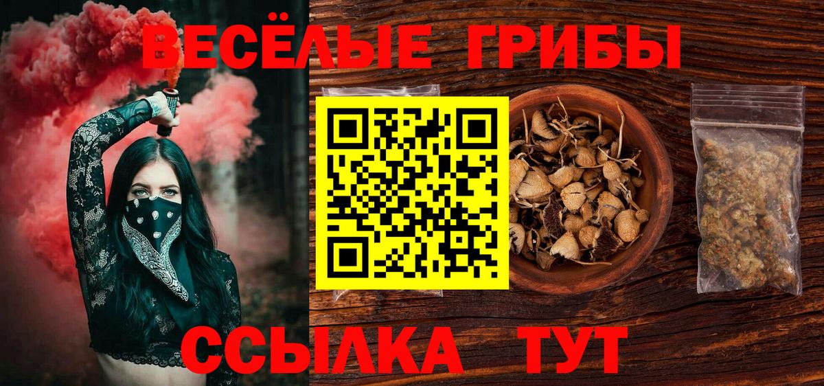 Ачхой-Мартан  Псилоцибиновые грибы GOLDEN TEACHER  Вход с VPN 