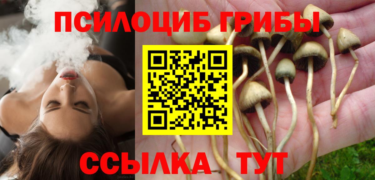Псилоцибиновые грибы мухоморы Ачхой-Мартан