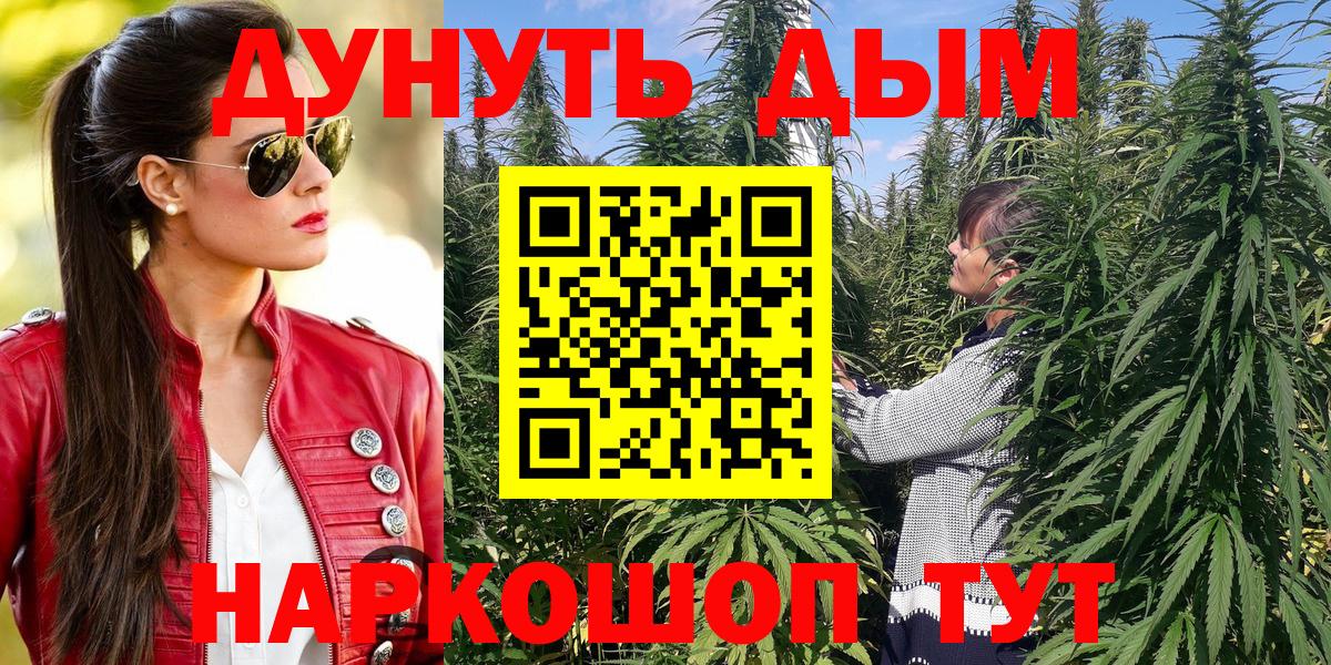 A PVP Ачхой-Мартан